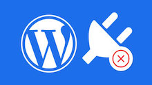 WordPress Plugin Errors