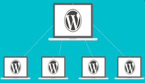 How to Enable WordPress Multisites | Hosting Column