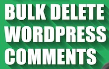 Remove WordPress Comments