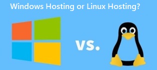 Should I Choose Windows Hosting or Linux Hosting?